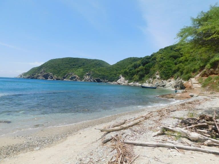 12 años de ciencia marina al servicio de la costa Caribe