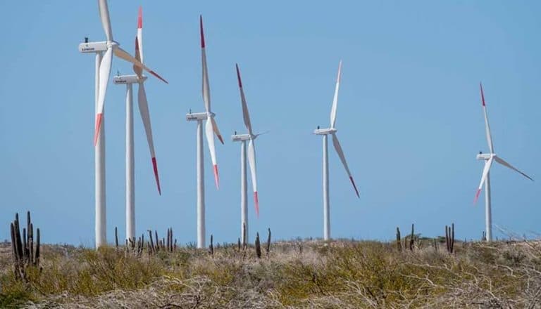 17 proyectos de energía eólica en La Guajira validan transición energética