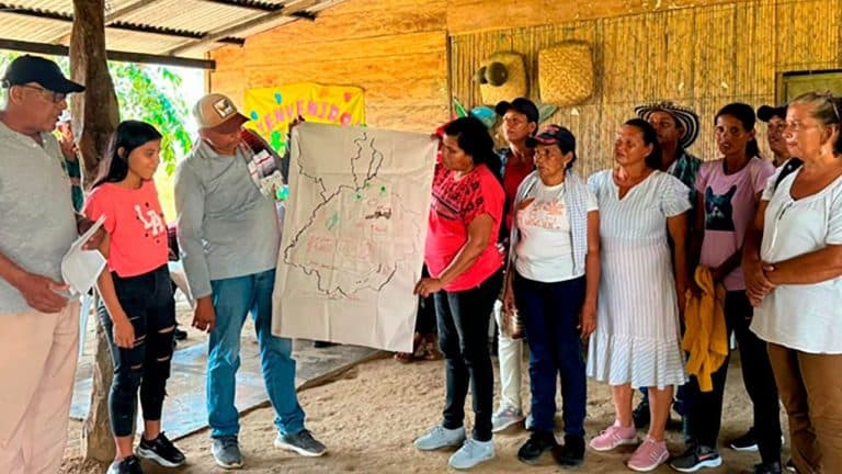 $36 mil millones para impulsar sector arrocero de La Mojana