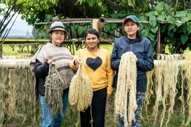 369 mujeres artesanas colombianas convierten la hoja de coca en economía circular