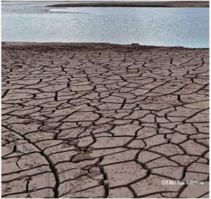 Activan plan de preparación ante posible fenómeno de El Niño en 2026