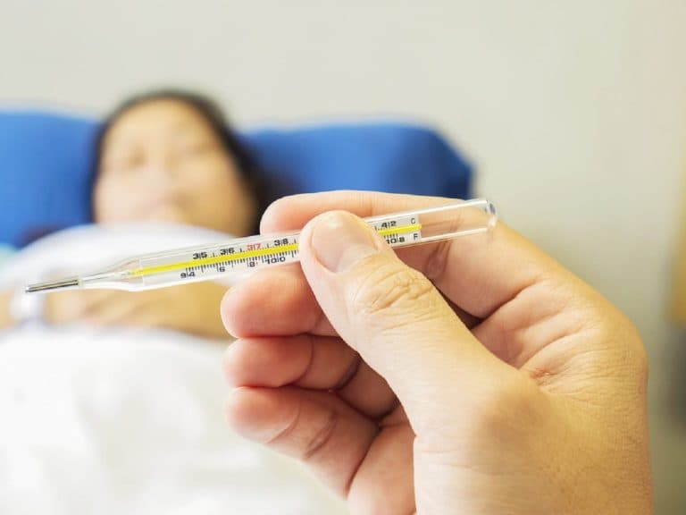 Ante aumento de muertes por fiebre amarilla se hace llamado a la vacunación
