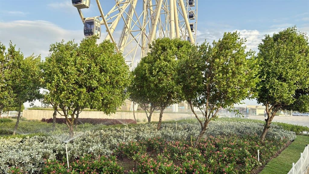 Barranquilla le apuesta a más árboles y zonas verdes contra el cambio climático