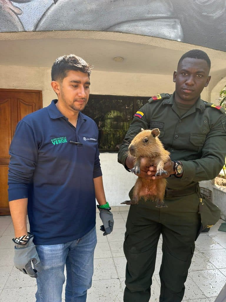 Barranquilla promueve protección ambiental y manejo de fauna silvestre por situación climática