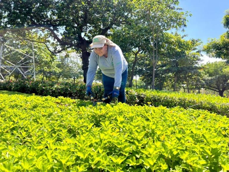 Barranquilla reconoce el trabajo de 400 personas que protegen 2 millones de metros cuadrados de espacio público