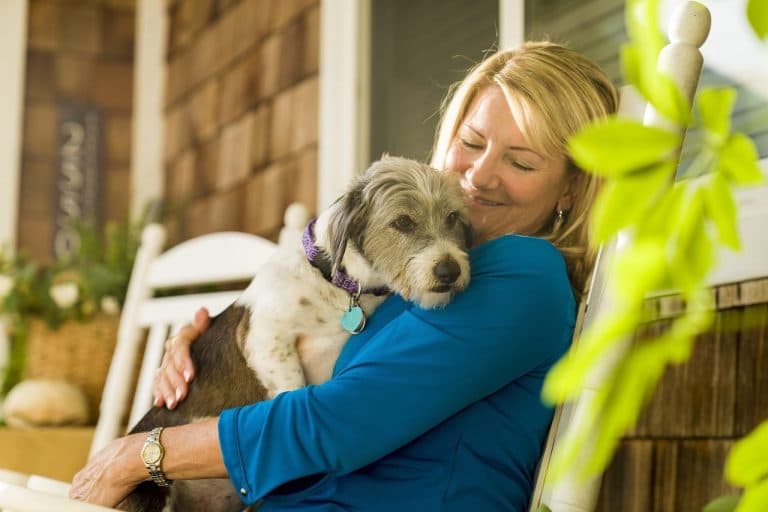 Claves esenciales para cuidar la salud de tu perro en la playa