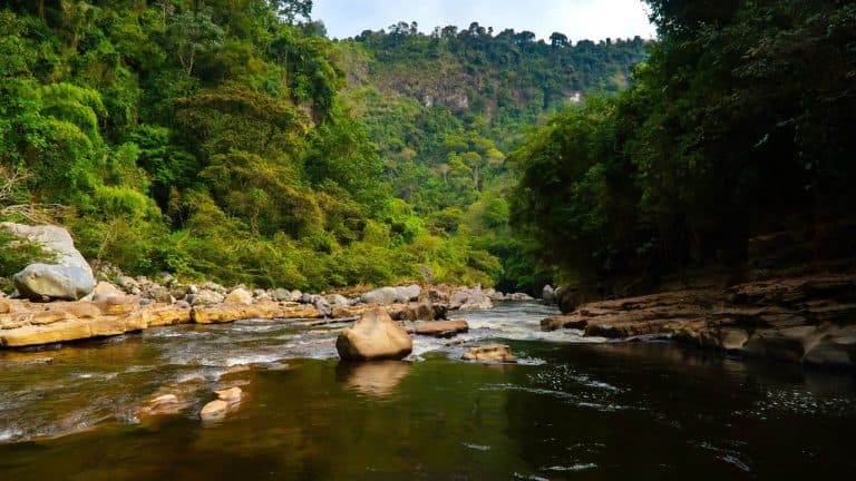 Colombia es uno de los mejores destinos para visitar en 2025