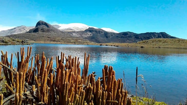 Colombia supera los 24 millones de visitantes no residentes
