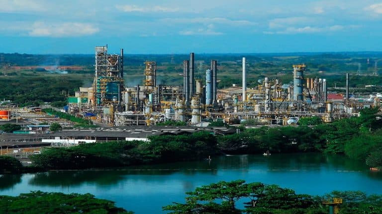 Definen hoja de ruta para que el país produzca combustible sostenible