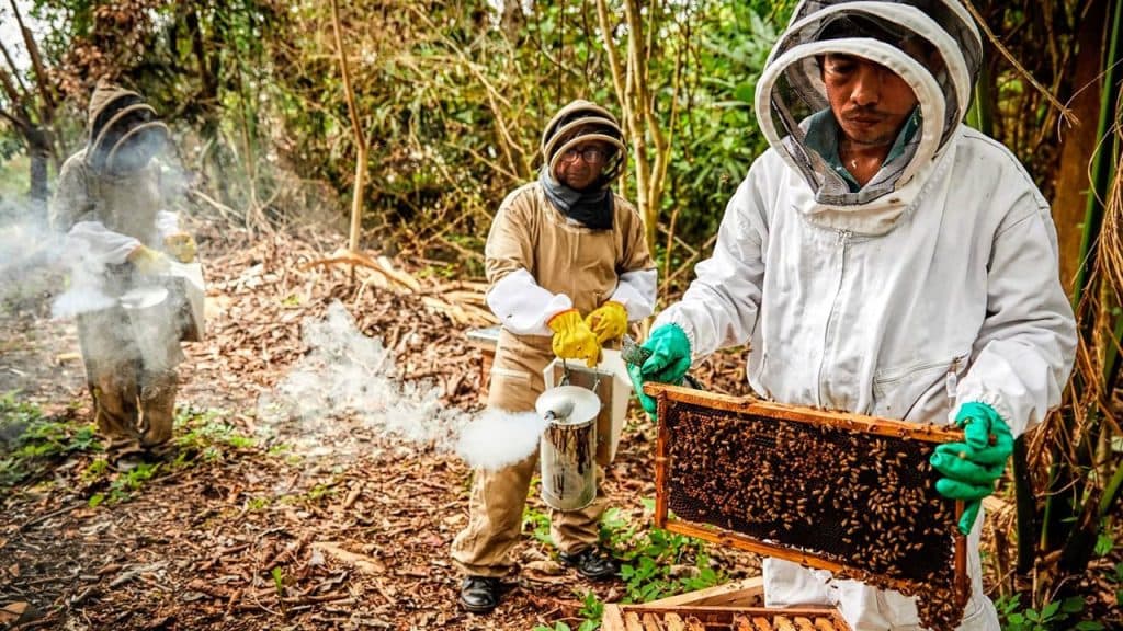Finagro colocó $2,2 billones en créditos asociativos