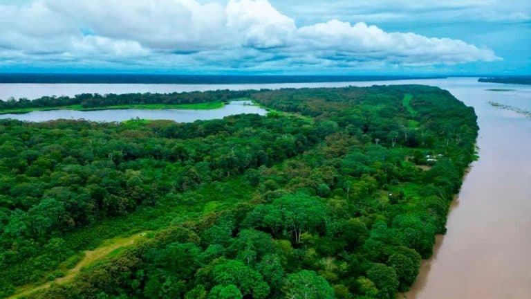 Gestión ambiental de comunidades indígenas no debe afectar reservas forestales: gobierno