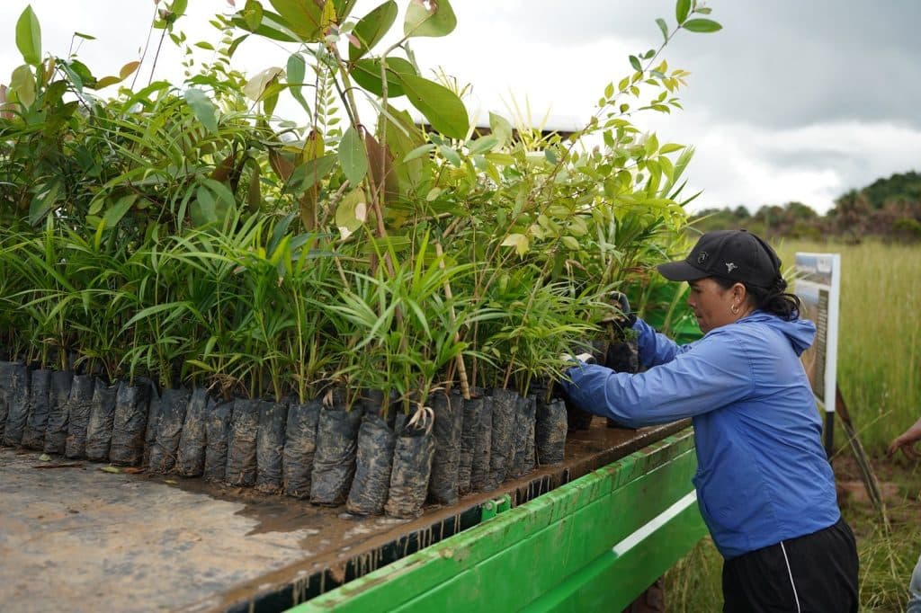 Iniciativa ambiental protege más de 21.000 hectáreas y suma 6.000 árboles sembrados