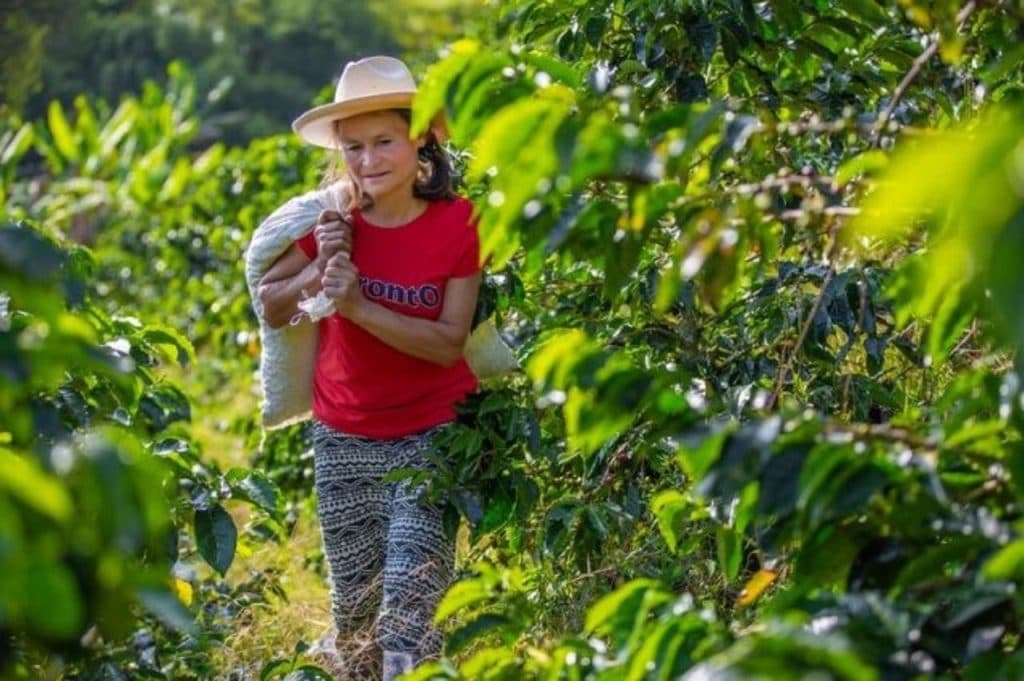 Las mujeres rurales son excluidas financieramente