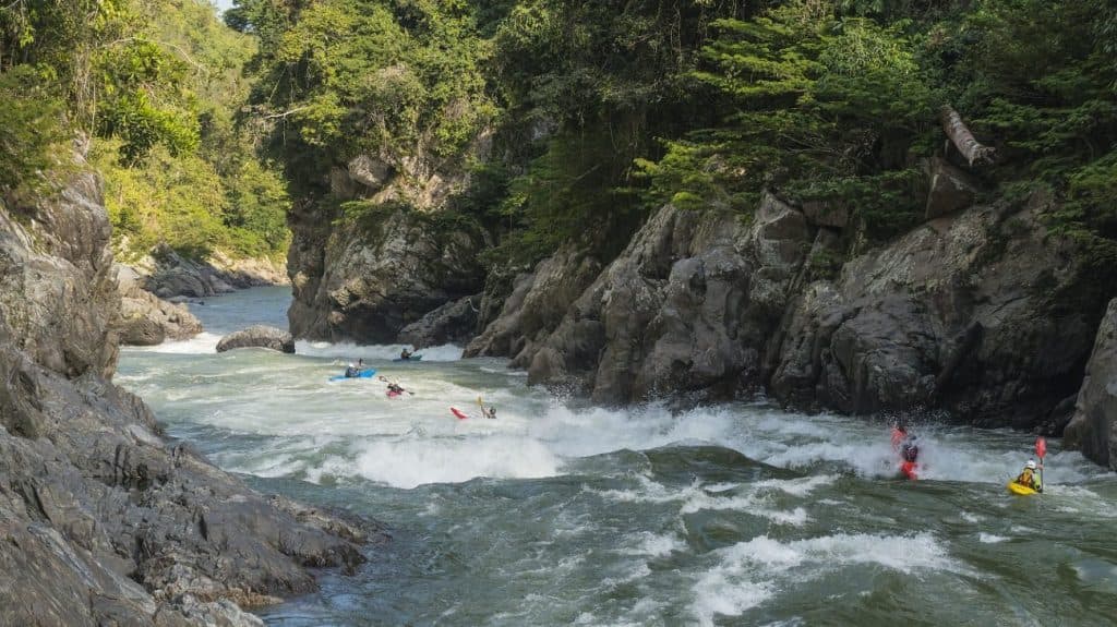 Samaná Fest 2025 celebra el último río libre de Antioquia