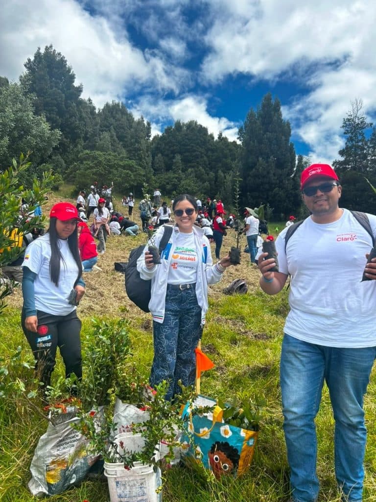 Siembra de más de 1.500 árboles nativos fortalece biodiversidad en Cajicá