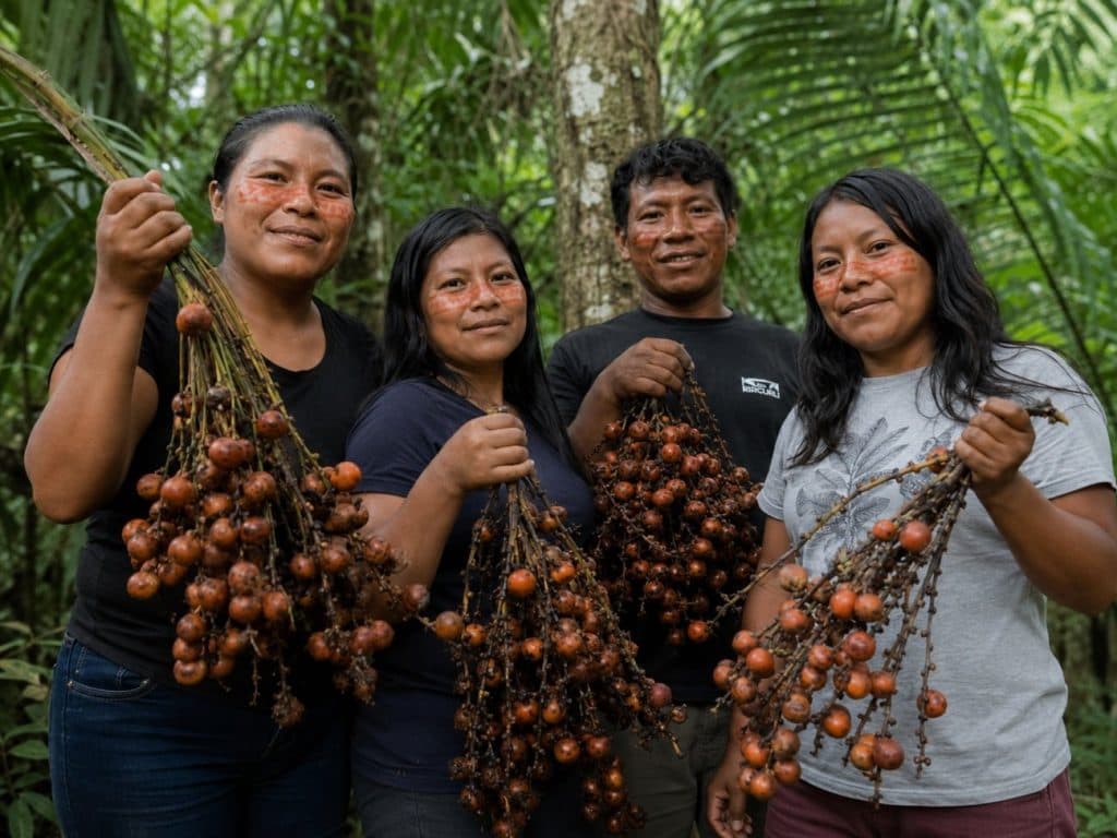 Superfrutos amazónicos entran al debate sobre la nueva economía forestal