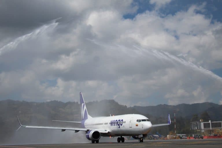 Wingo 2024: cerró con 3.2 millones de pasajeros transportados y crecimiento de 11%