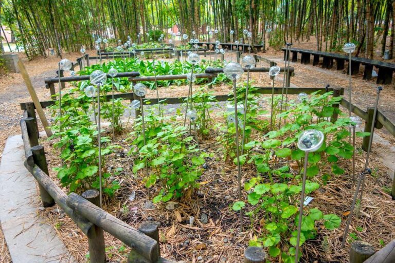$90 mil millones para proyectos de ambiente y desarrollo sostenible; tres son del Caribe por $42.171 millones