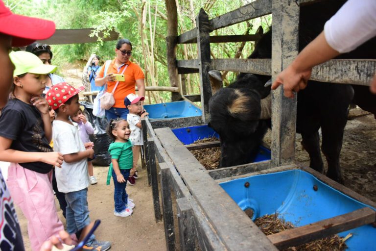 Atlántico, con variada programación para hacer felices a los niños en su día Atlántico, con variada programación para hacer felices a los niños en su día