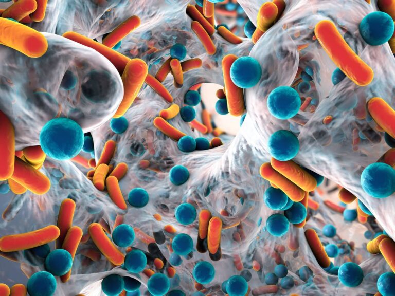 Alerta mundial de la OMS por resistencia bacteriana a los antibióticos Alerta mundial de la OMS por resistencia bacteriana a los antibióticos