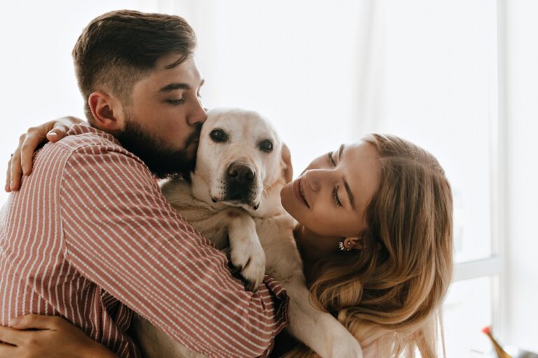 ¿Cómo prevenir las enfermedades más comunes en mascotas? ¿Cómo prevenir las enfermedades más comunes en mascotas?