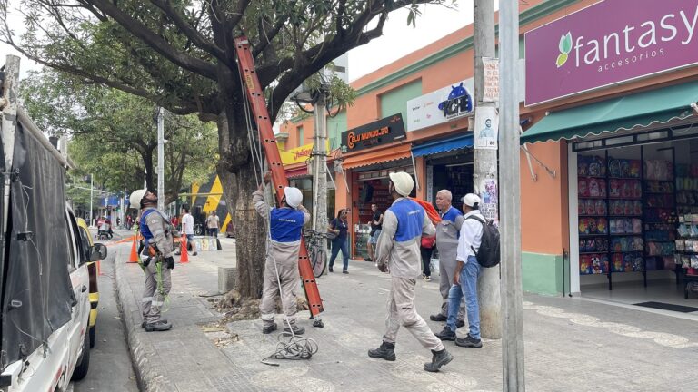 Desde el Paseo Bolívar, Barranquilla busca ponerle orden al cableado aéreo Desde el Paseo Bolívar, Barranquilla busca ponerle orden al cableado aéreo