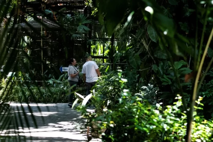 ZOO COSTA RICA
