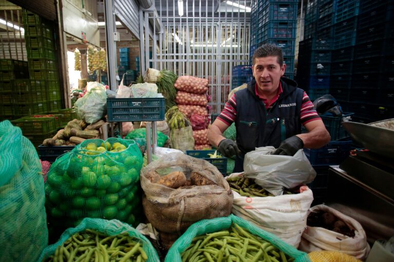 622.415 toneladas de alimentos ingresaron a las principales centrales mayoristas del país
