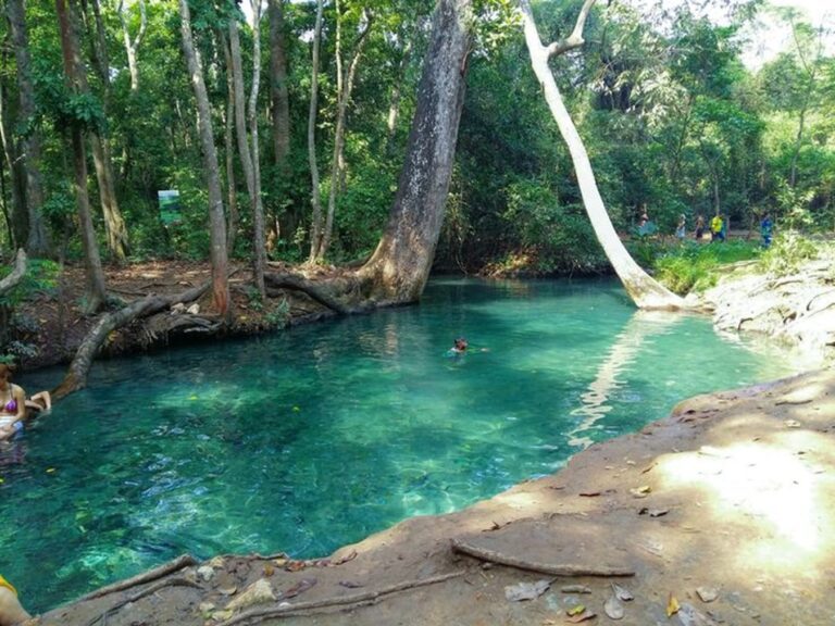Cañaverales se defiende: comunidad en el sur de La Guajira denuncia amenazas por un nuevo proyecto minero de carbón Cañaverales se defiende: comunidad en el sur de La Guajira denuncia amenazas por un nuevo proyecto minero de carbón