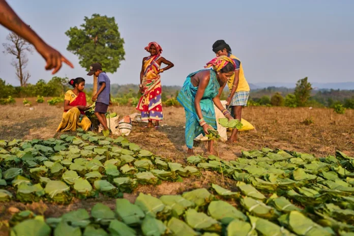 MUJERES EN INDIA UNO