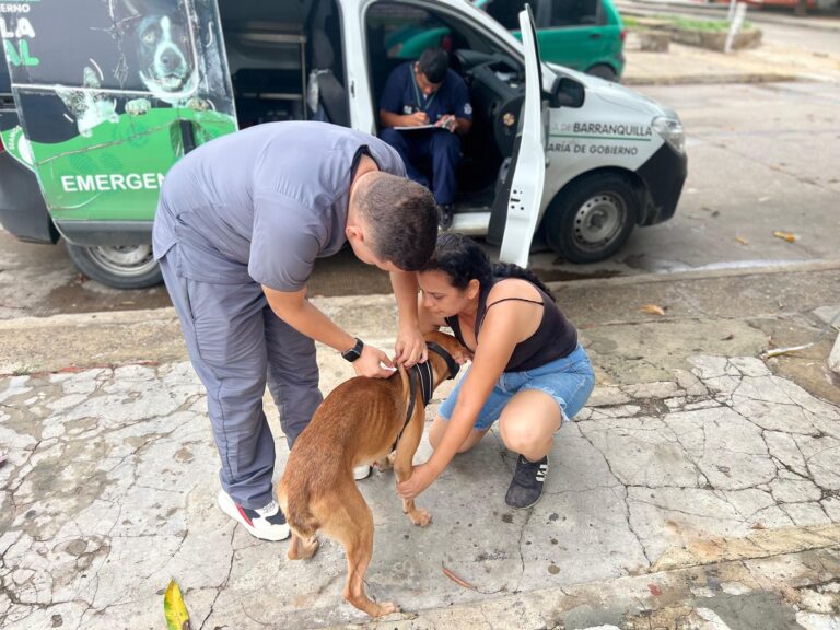 “¡En Barranquilla los animalitos no están solos!” “¡En Barranquilla los animalitos no están solos!”