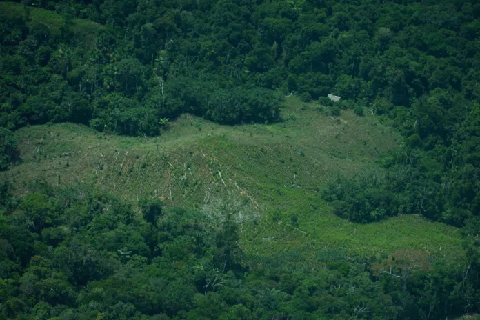 AMBIENTALISTAS ASESINADOS