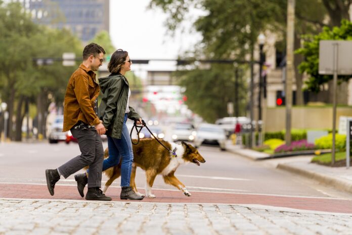 Companion Animal HomeAgain Dog With Owner4