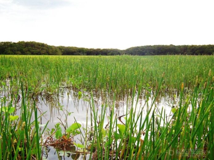 WhatsApp Image 2025-11-06 at 7.54.13 AM (2)