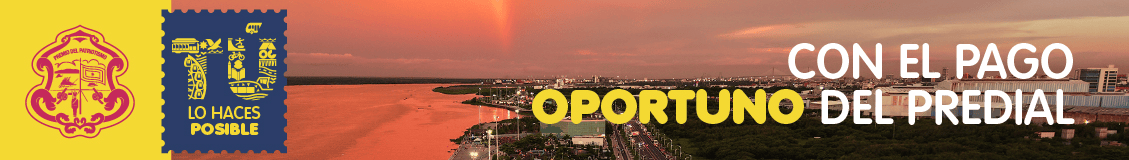 spot_img