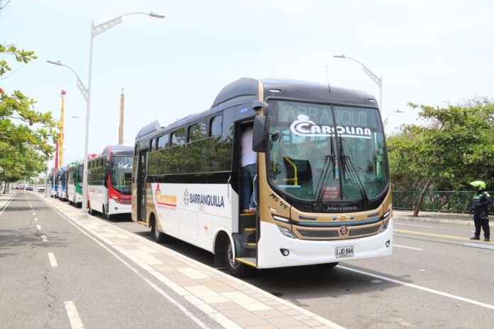 Nuevos buses (1)