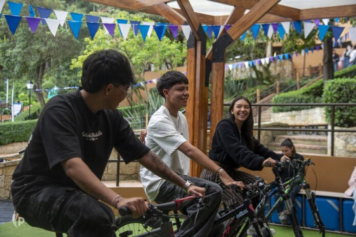 Bicicleta (4)